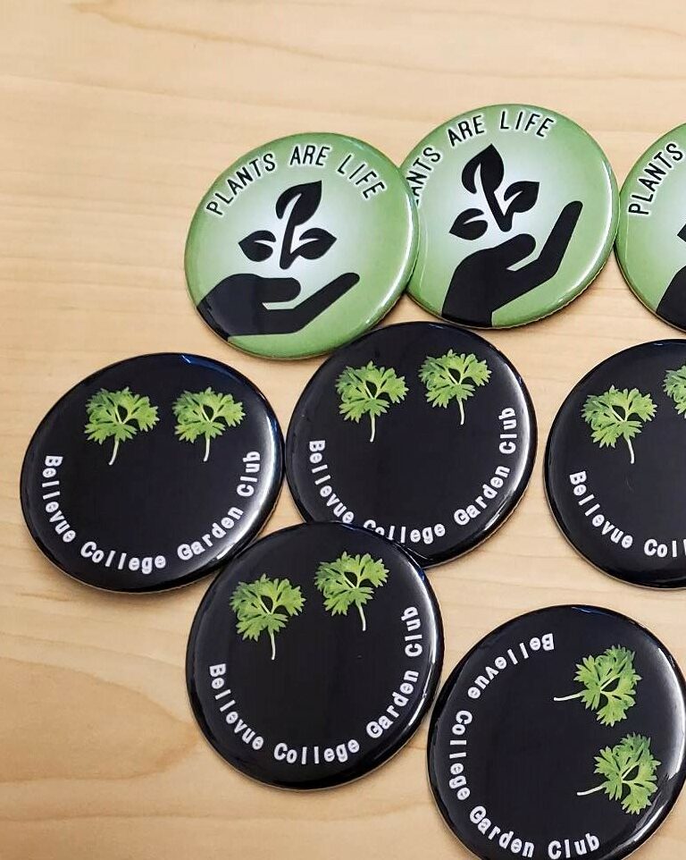 Photo of buttons on a wood background. Top three buttons are green with black image of hand with a plant, and say "PLANTS ARE LIFE." Bottom five are black with image of green sprigs of cilantro as eyes and "Bellevue College Garden Club" as a smile. 