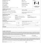A Photo of an I-20 Immigration form