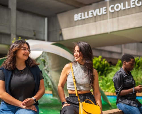 Students sitting at Bellevue College fountain