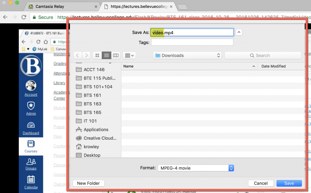 In the ensuing Save dialog box, navigate to the location on your computer where you want to save the video. By default, that is the Downloads folder.
