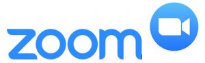 Zoom Logo