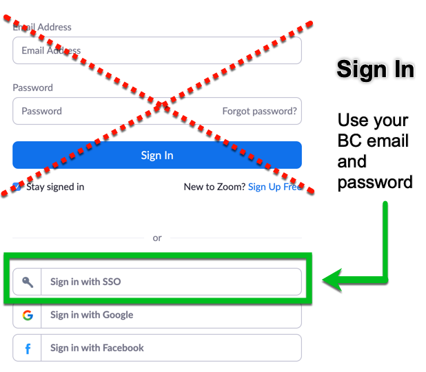 Zoom sign-in screen, vertical layout