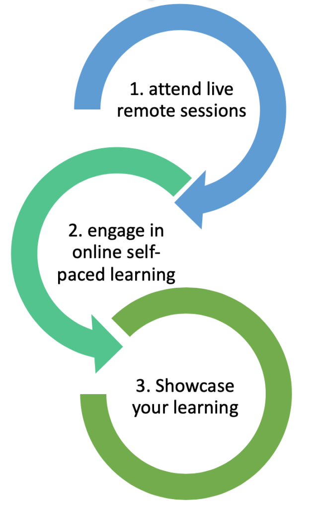 Summer Institute starts with the live remote session, then moves to the online self-paced learning, ending with a showcase of your learning