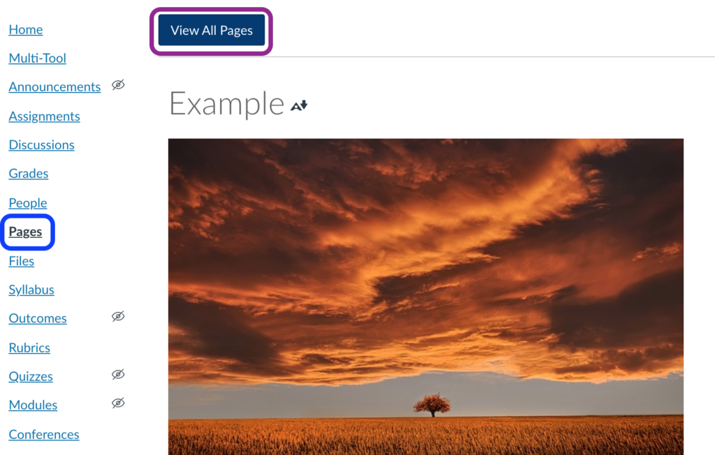 Canvas pages landing page with the “view all pages” link.