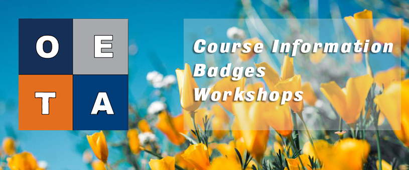 Online Excellence Teaching Academy Spring and Summer 2023