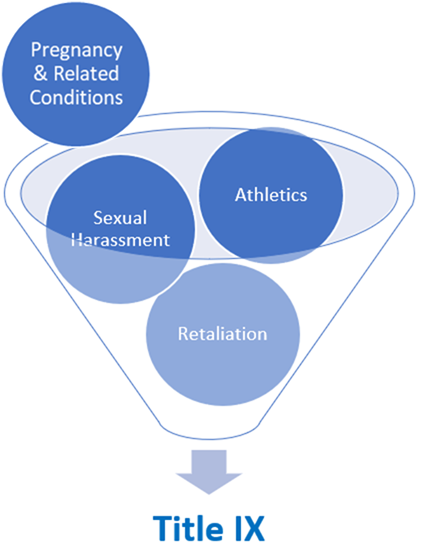 Funnel showing five balls labeled 
"Pregnant & Parenting Students", "Athletics", "Sexual Harassment", and "Retaliation" funneling down to the words "Title IX"