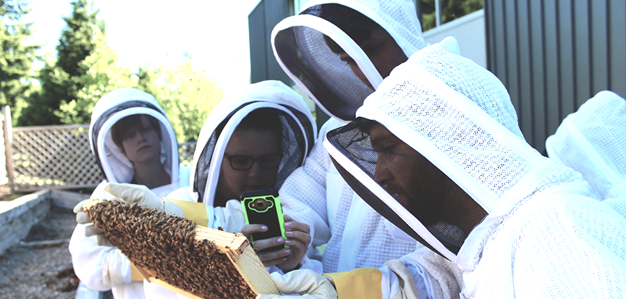 Beekeeping society harvesting honey from hives