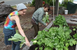 Students Learn from Community Garden