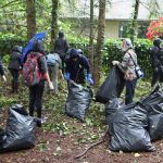 Volunteers fill bags with weeds and brush