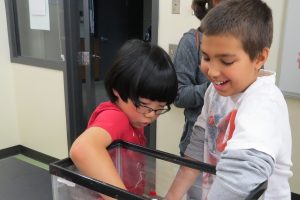 Two kids digging in a fish tank filled with ping-pong balls