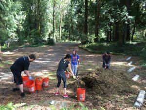 Students working at Idylwood Park pulling weeds