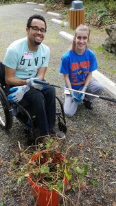 Students working at Idylwood Park pulling weeds