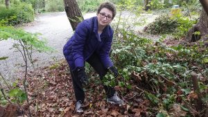 Students working at Idylwood Park pulling weeds