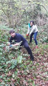 Students working at Idylwood Park pulling weeds