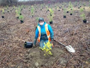 Heather plants a tree for Park and Recreation 