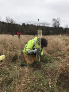 Heather plants a tree for Park and Recreation 