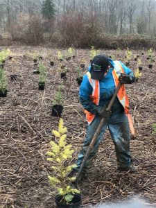 Heather plants a tree for Park and Recreation