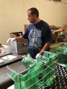 OLS Summer Volunteer