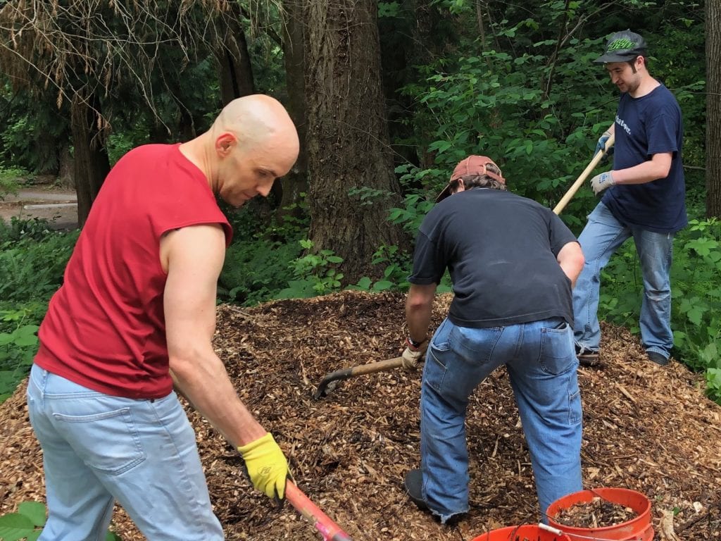 three young adults working in a forest