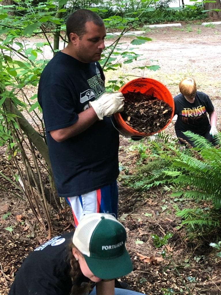 group sof young adults working in a forest