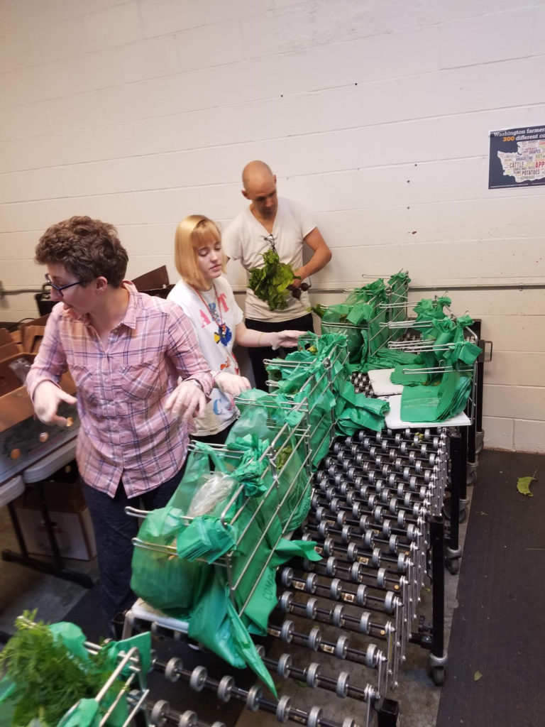 group of young adults fill produce bags with produce