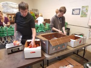 group of volunteers fill produce bags with fresh produce