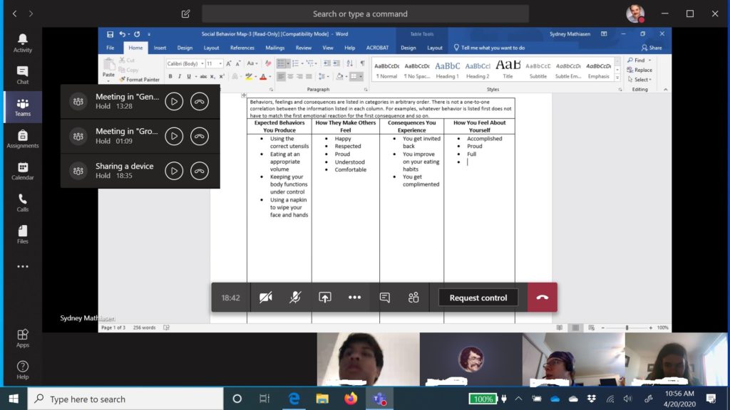 screen shot of Micrsoft Teams online meeting