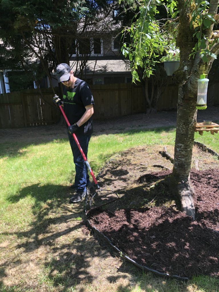 young man rakes dirt over exposed tree roots