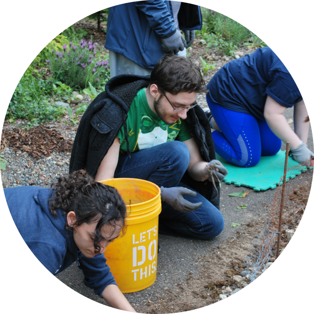 OLS students dig in the dirt at the Tavon Center