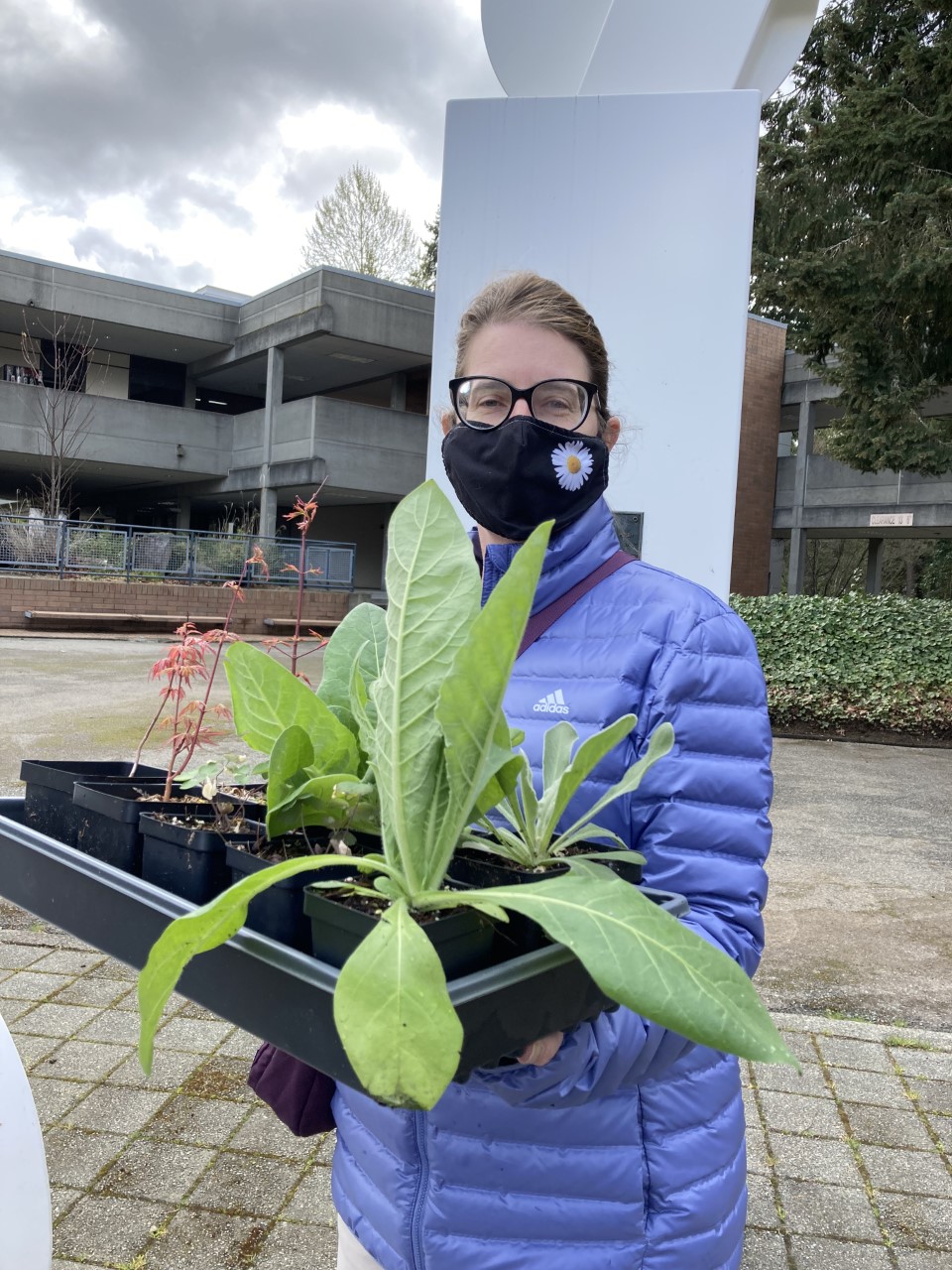 A woman in a mask holds plants outside on a college campus