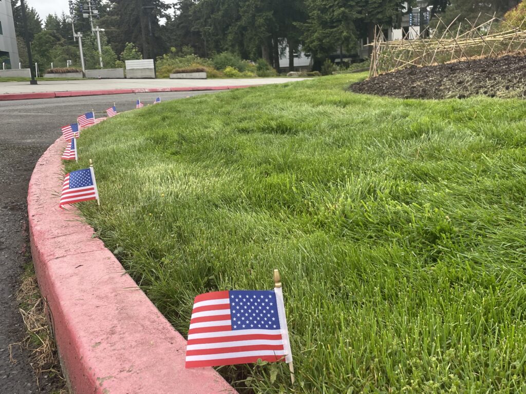 Mini US flag border a roadway on a college campus