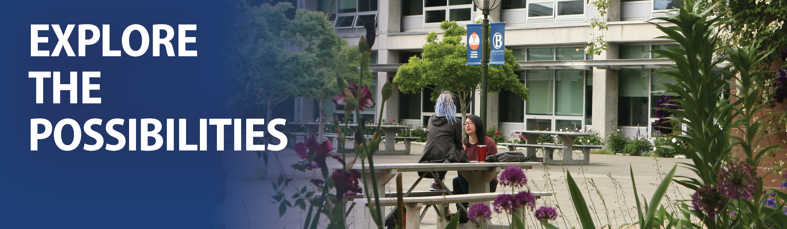 Image of students in a courtyard.