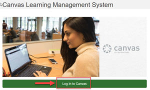 Image of Canvas Log In Page