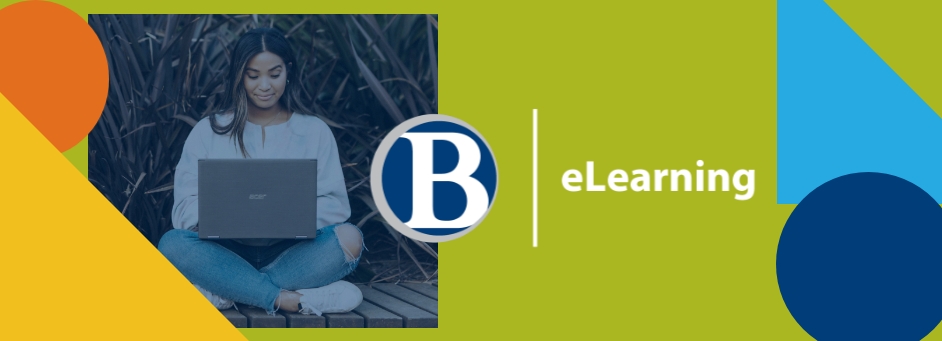 eLearning Project Assistants