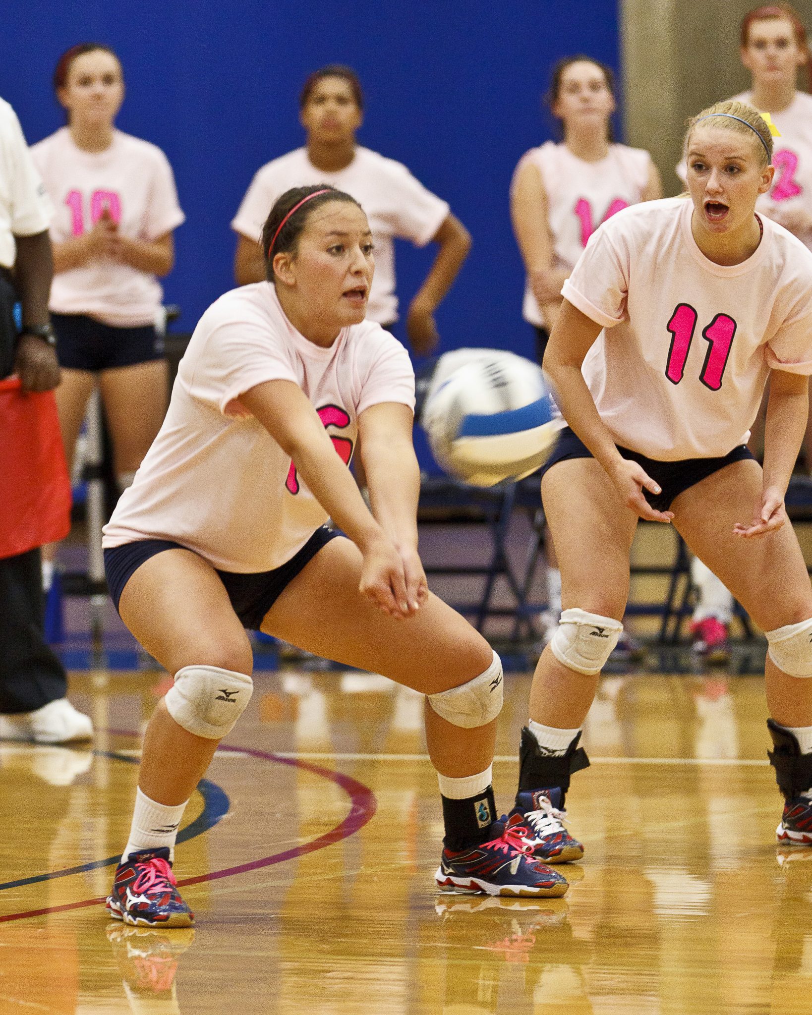 BC Volleyball 2014 Athletics Department