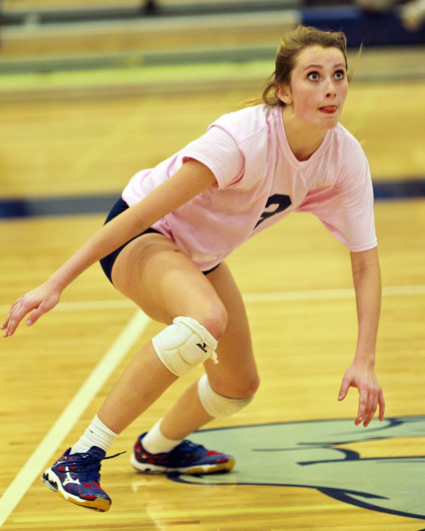 2015 BC Volleyball Athletics Department