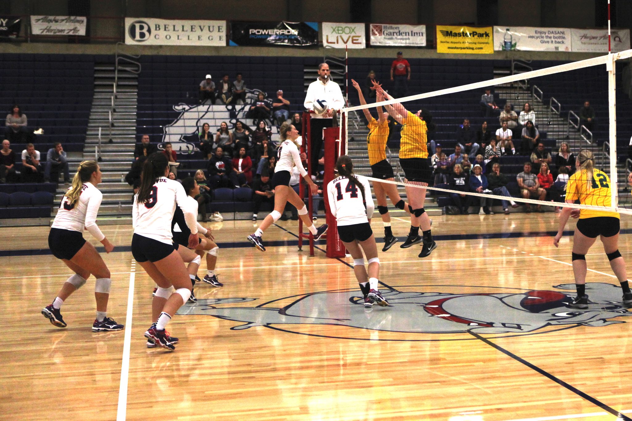 2015 BC Volleyball Athletics Department