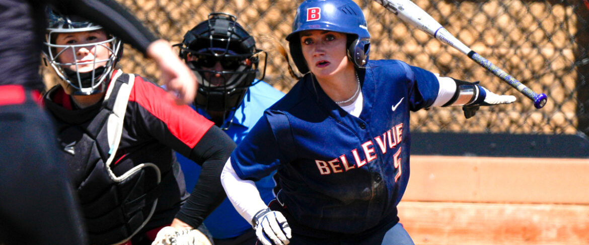 Softball banner image