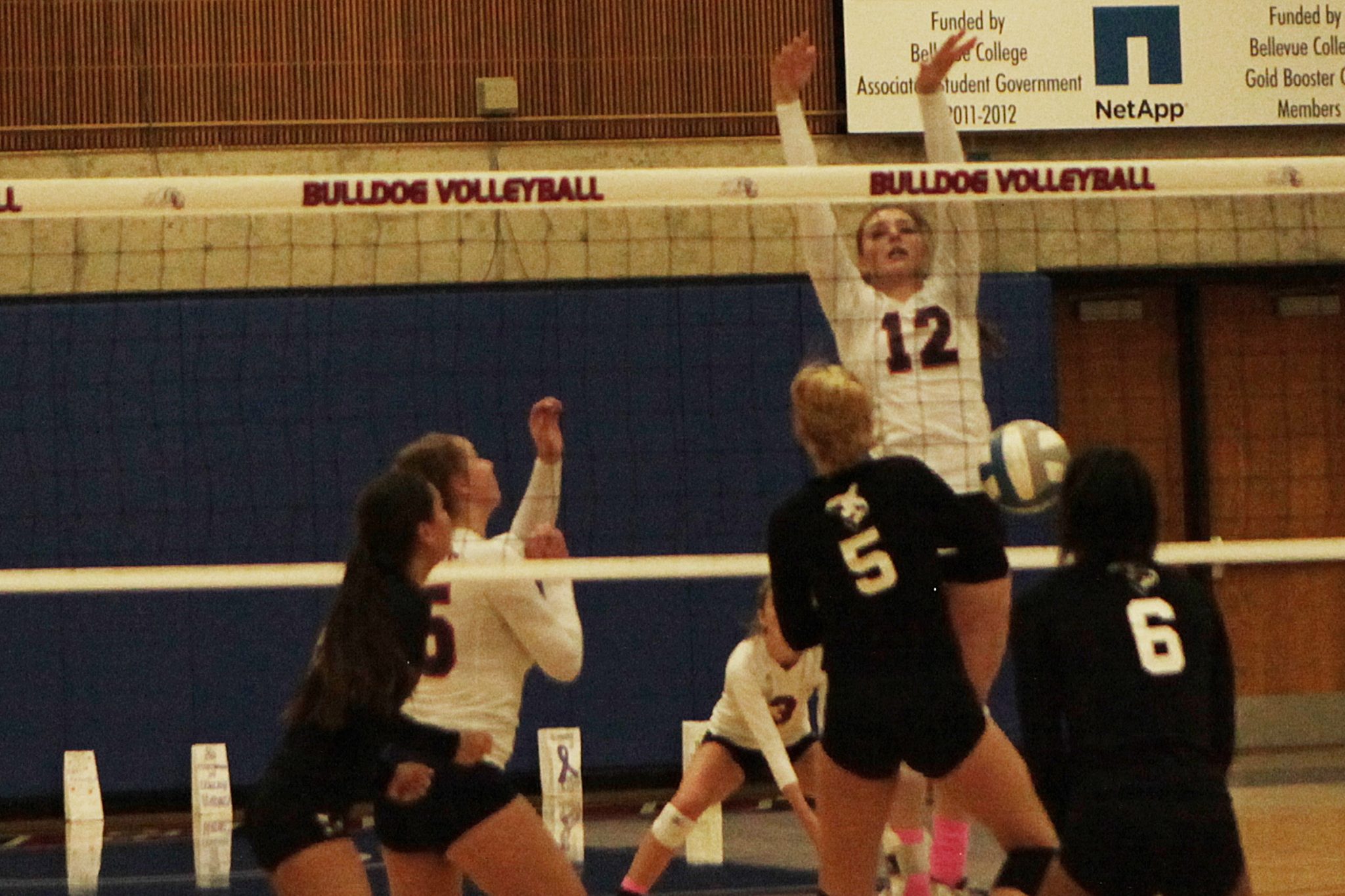A BC volleyball player goes up for the block against Whatcom