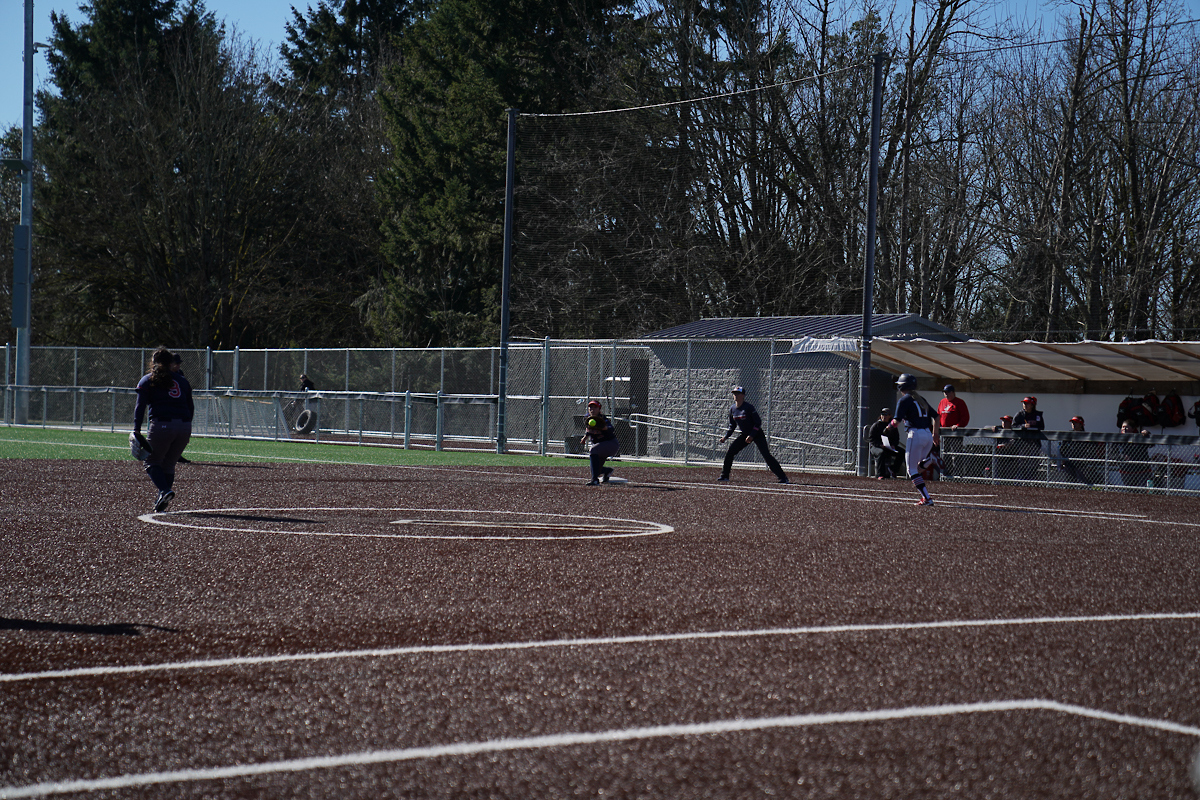 Players using the field