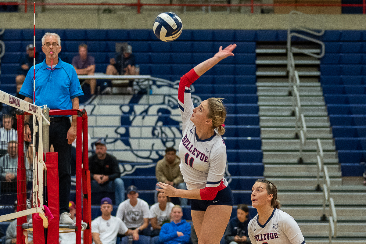 vb action