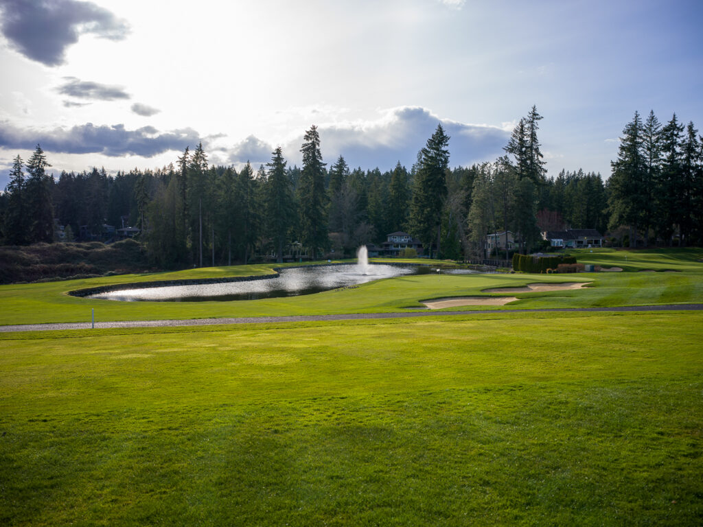 golf course and auction