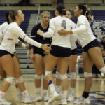 Volleyball Falls At Elite Eight