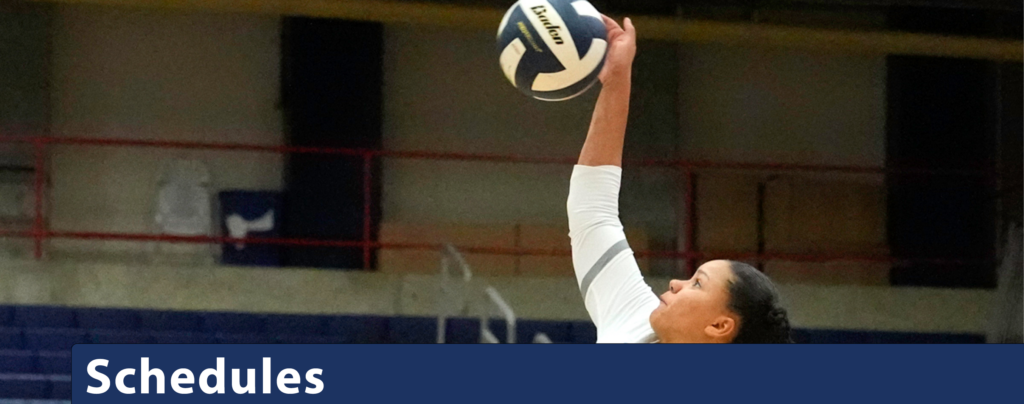 Bellevue volleyball player reaching high overhead for a serve.