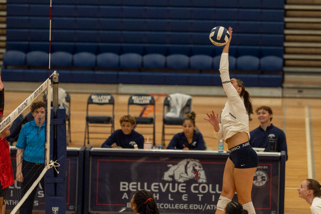 volleyball player