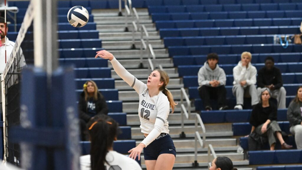 vb player