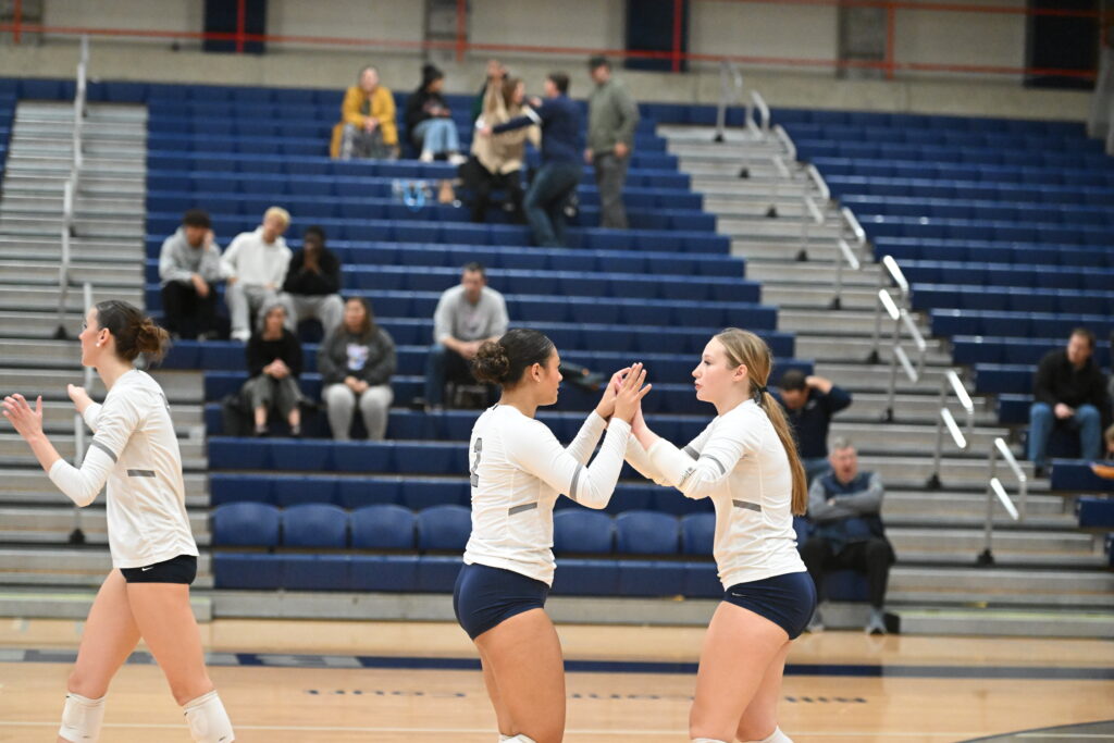 volleyball player