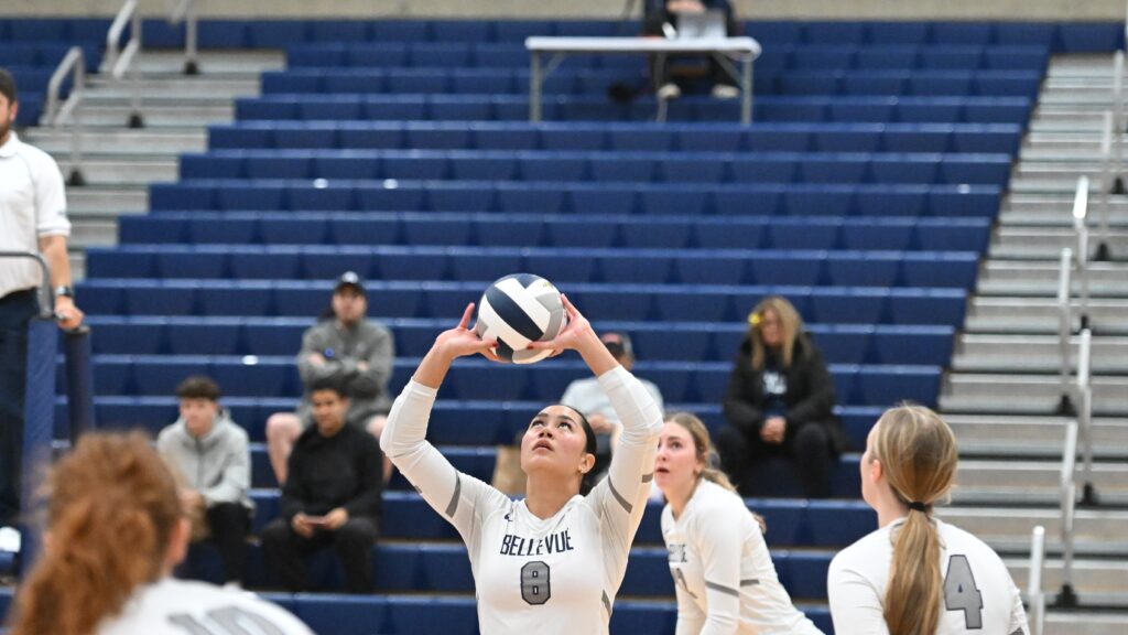 vb player