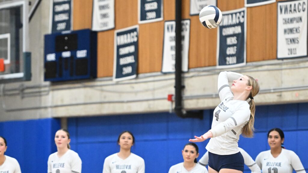 vb player