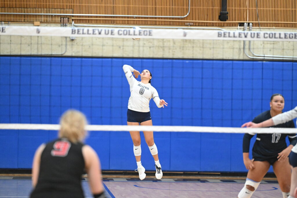 volleyball player